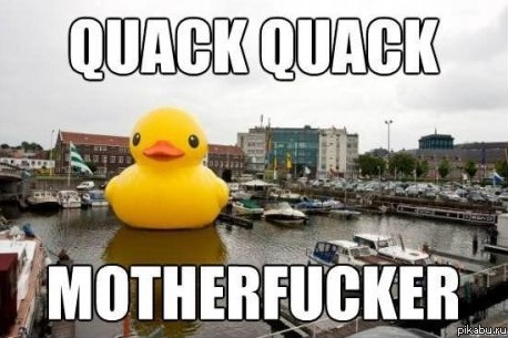 Quack quack.jpg