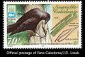 New caledonian crow stamp 490.jpg